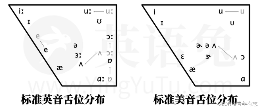 image-20221129205705806.png